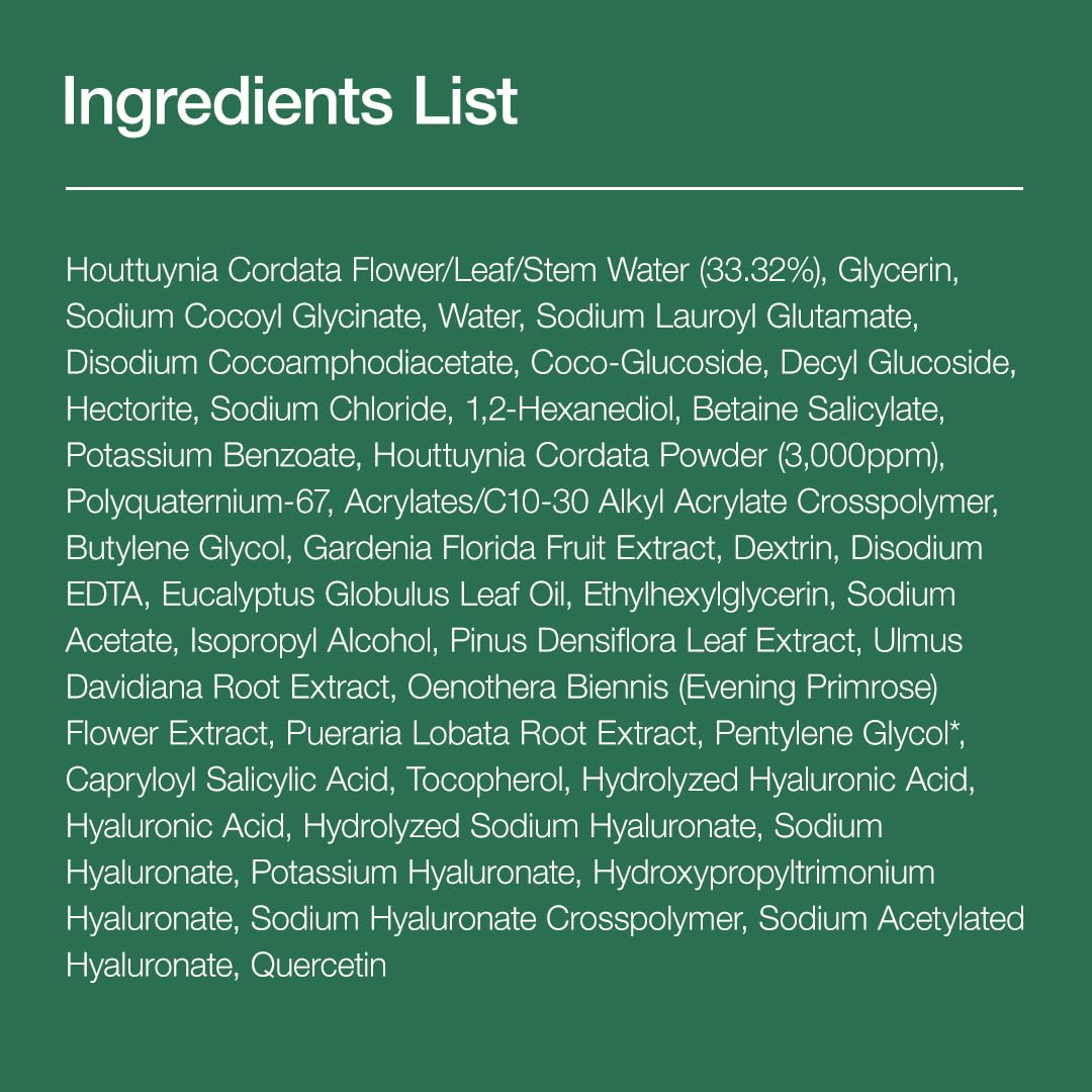 ANUA Heartleaf Quercetinol Pore Deep Cleansing Foam 150ml