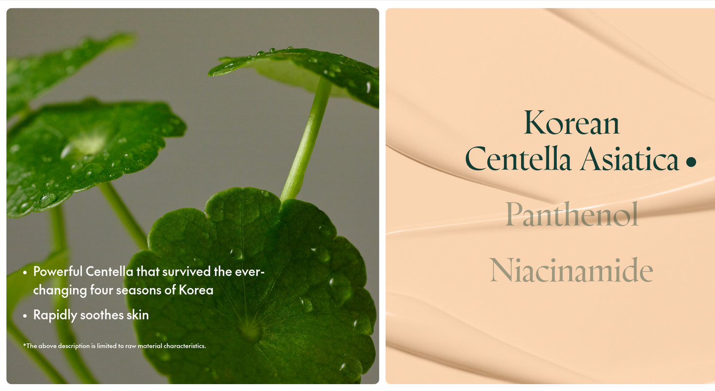 PURITO Wonder Releaf Centella BB Cream 30ml ( PURITO Cica Clearing BB Cream 30ml)
