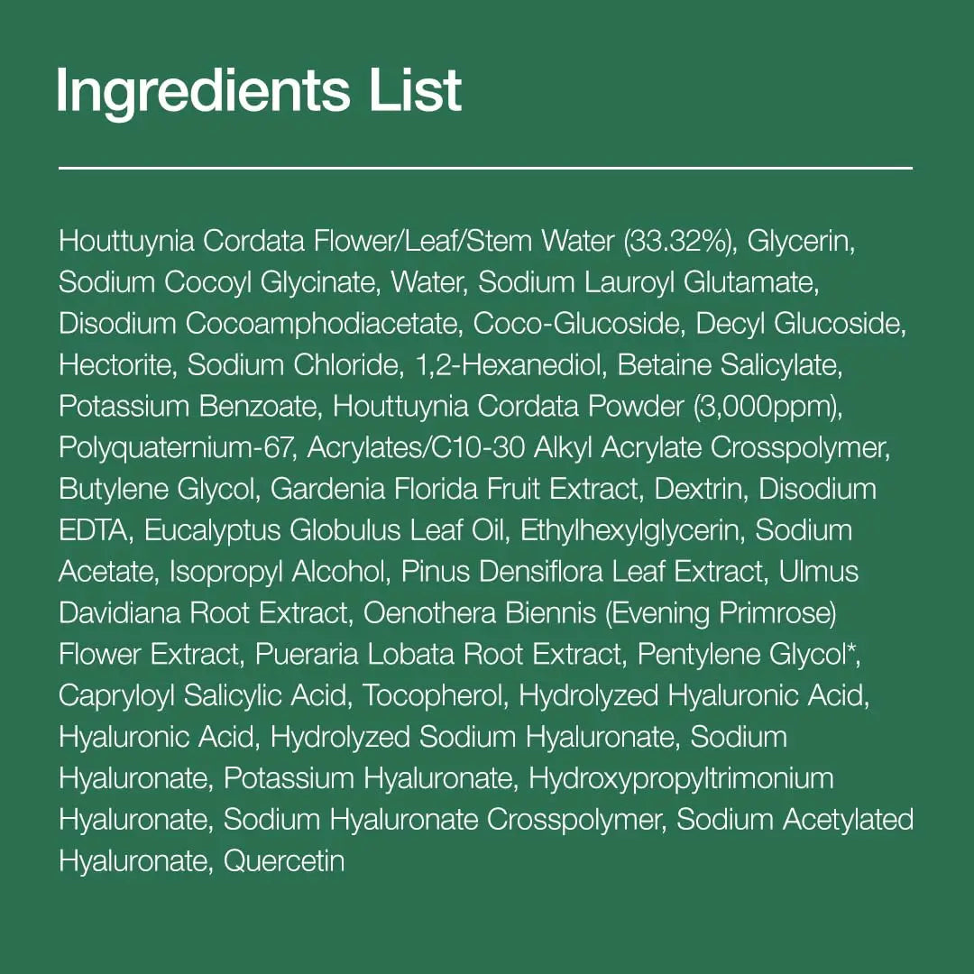 Ingredients list of ANUA Heartleaf Quercetinol Pore Deep Cleansing Foam 150ml displayed on a green background, detailing botanical extracts, hyaluronic acid, and cleansing agents.