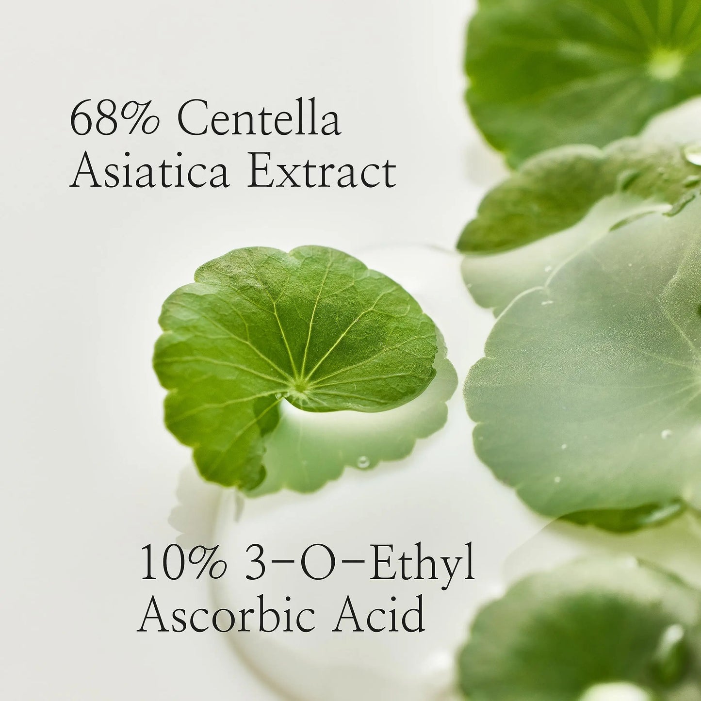 Close-up of green Centella Asiatica leaves with text highlighting 68% Centella Asiatica Extract and 10% 3-O-Ethyl Ascorbic Acid, promoting Beauty of Joseon Light On Serum Centella + Vitamin C 30ml.