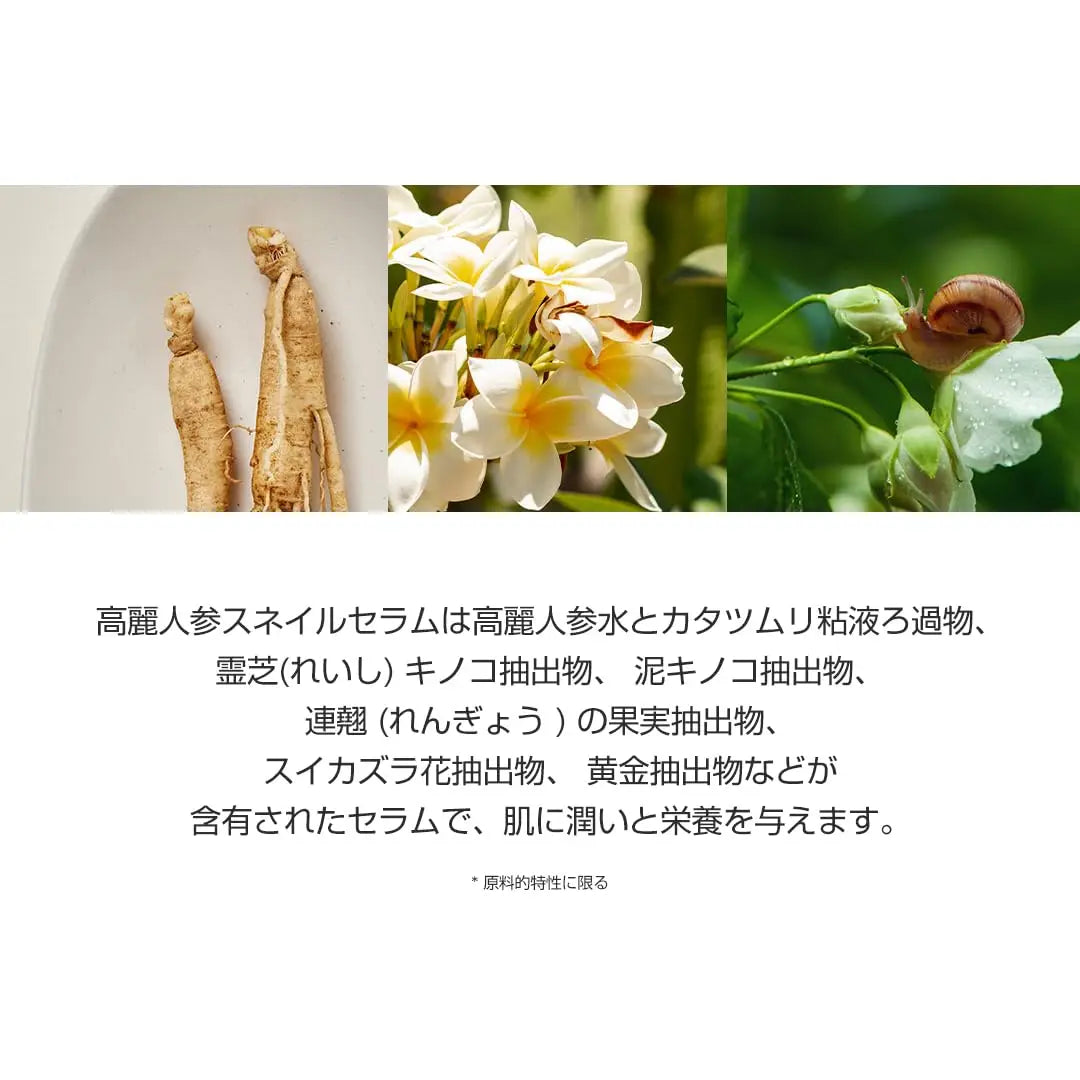 Beauty of Joseon Revive Snail Mucin Ginseng Serum 30ml featuring imagery of ginseng roots, white and yellow flowers, and a snail on a green leaf symbolizing key natural ingredients for skin nourishment and hydration.