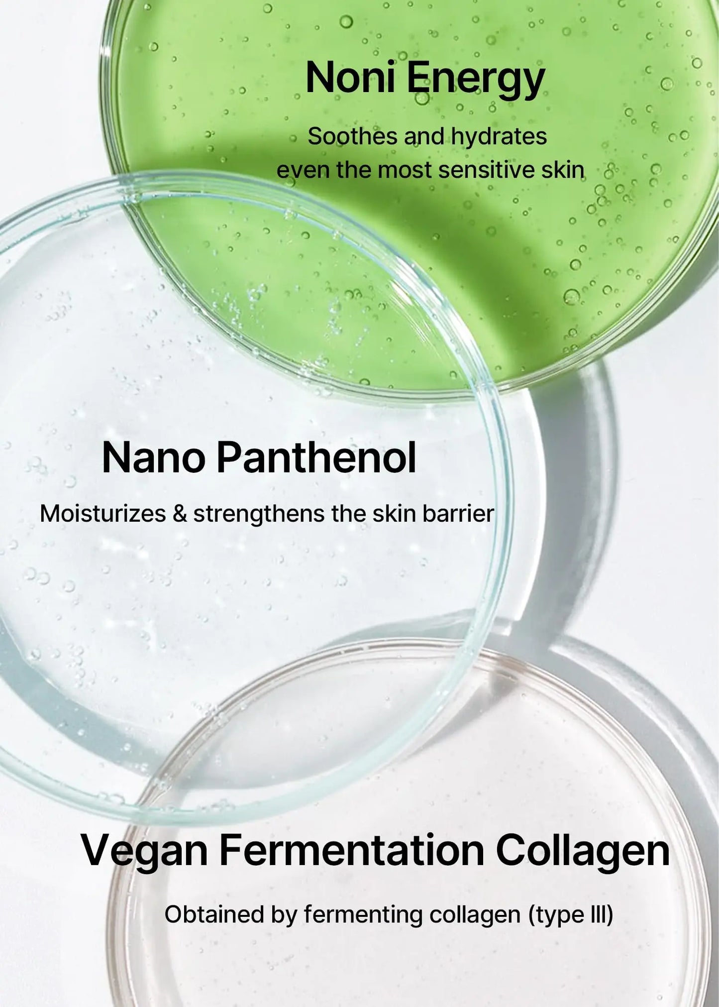Three petri dishes containing green, clear, and milky liquids labeled with ingredient benefits for celimax Noni Energy Ampoule 30ml, highlighting Noni Energy, Nano Panthenol, and Vegan Fermentation Collagen.