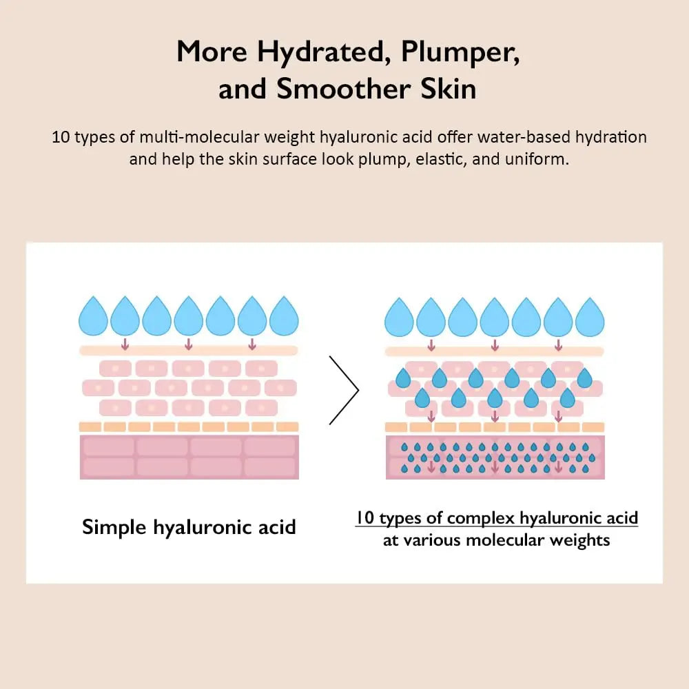 Illustration comparing simple hyaluronic acid and 10 types of multi-molecular weight hyaluronic acid showing improved hydration, plumper, and smoother skin for haruharu wonder Black Rice 10 Hyaluronic Cream 50ml.