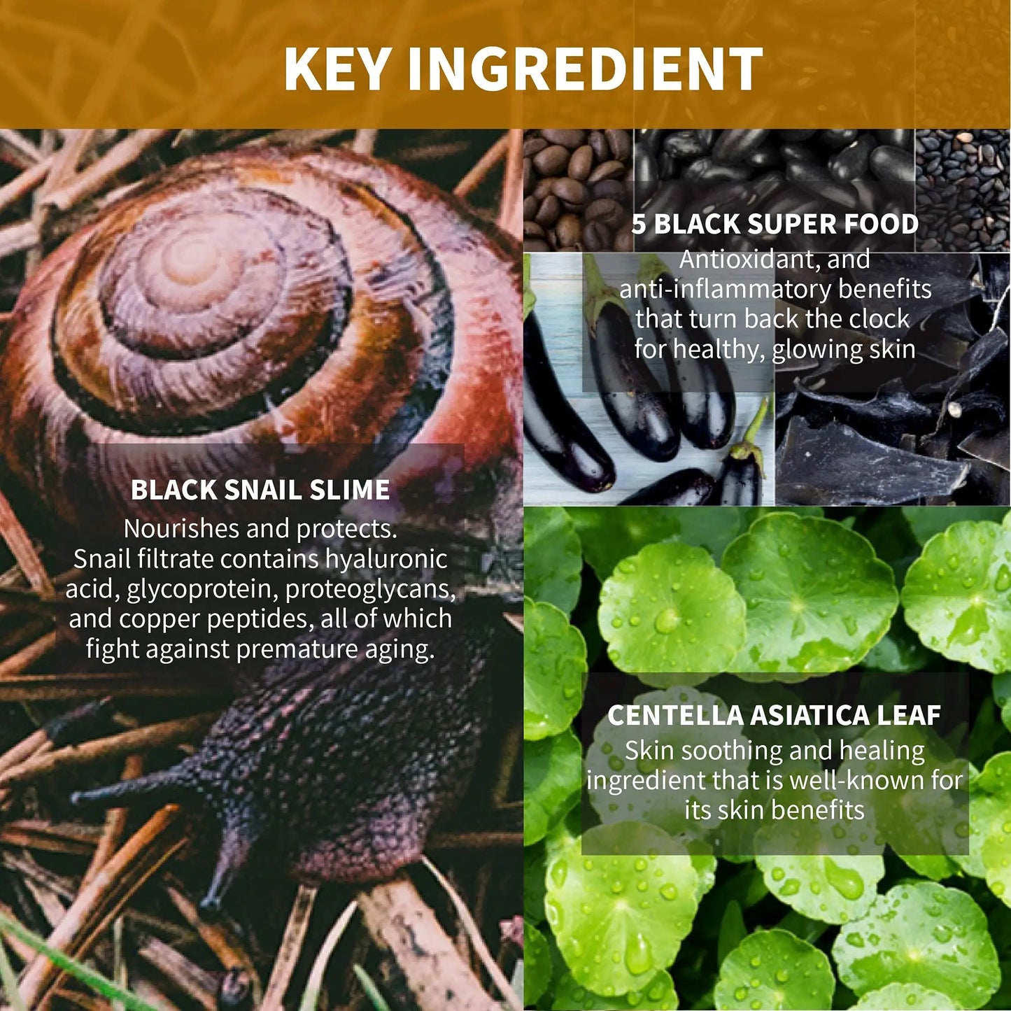 Image showing key ingredients of iUNIK Beta Glucan Power Moisture Serum 50m + iUNIK Black Snail Restore Serum 50ml, featuring black snail slime, 5 black super food, and centella asiatica leaf with descriptions of their skin benefits.