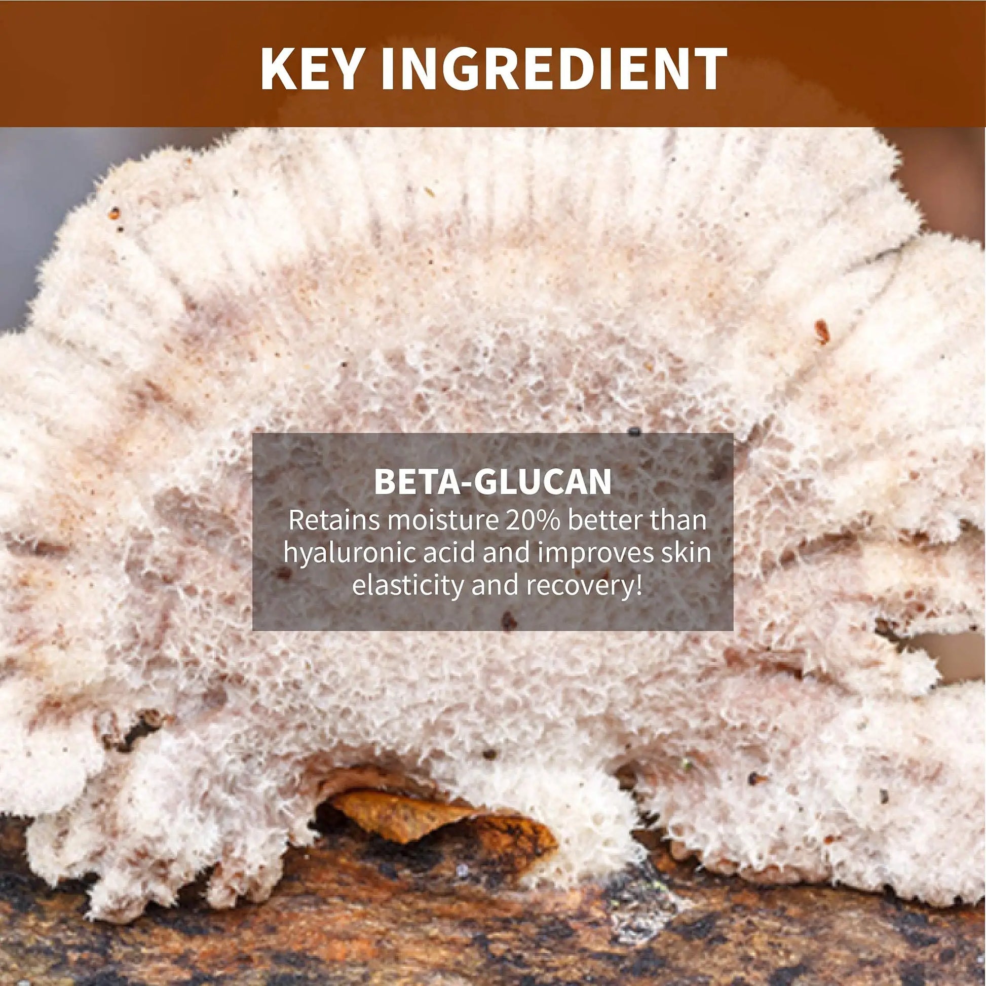 Close-up of a natural textured surface highlighting beta-glucan, a key ingredient in iUNIK Beta Glucan Power Moisture Serum 50m + iUNIK Black Snail Restore Serum 50ml, known for retaining moisture better than hyaluronic acid and improving skin elasticity and recovery.