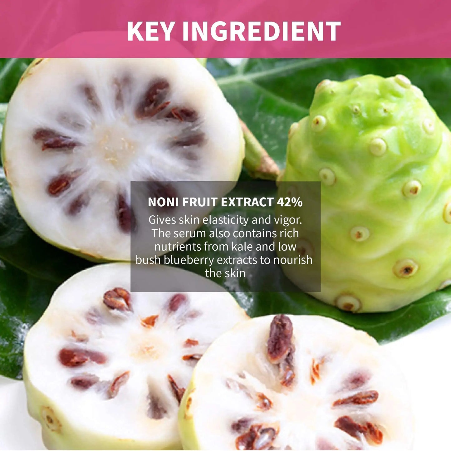 Close-up of fresh noni fruit slices and a whole noni fruit highlighting 42% noni fruit extract as the key ingredient for skin elasticity and nourishment in iUNIK Beta Glucan Power Moisture Serum 50ml + iUNIK Noni Light Oil Serum 50ml.