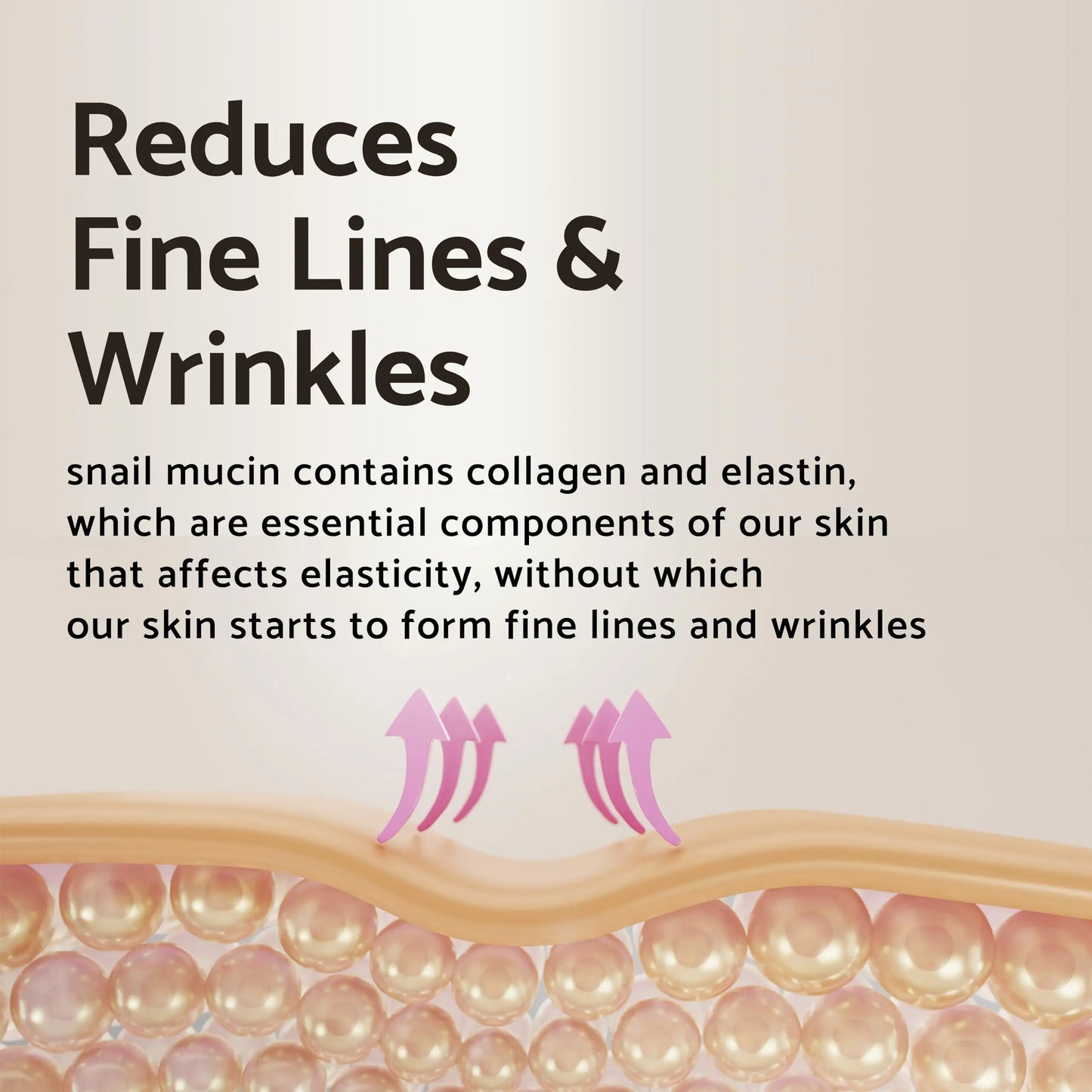 Illustration explaining how iUNIK Black Snail Restore Serum 50ml reduces fine lines and wrinkles by supporting collagen and elastin, essential for skin elasticity.