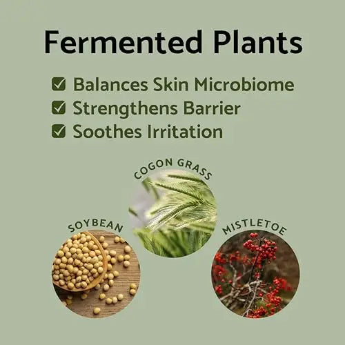 Fermented plants including soybean, cogon grass, and mistletoe with benefits of balancing skin microbiome, strengthening skin barrier, and soothing irritation for iUNIK Propolis Vitamin Sleeping Mask Cream, 60ml.