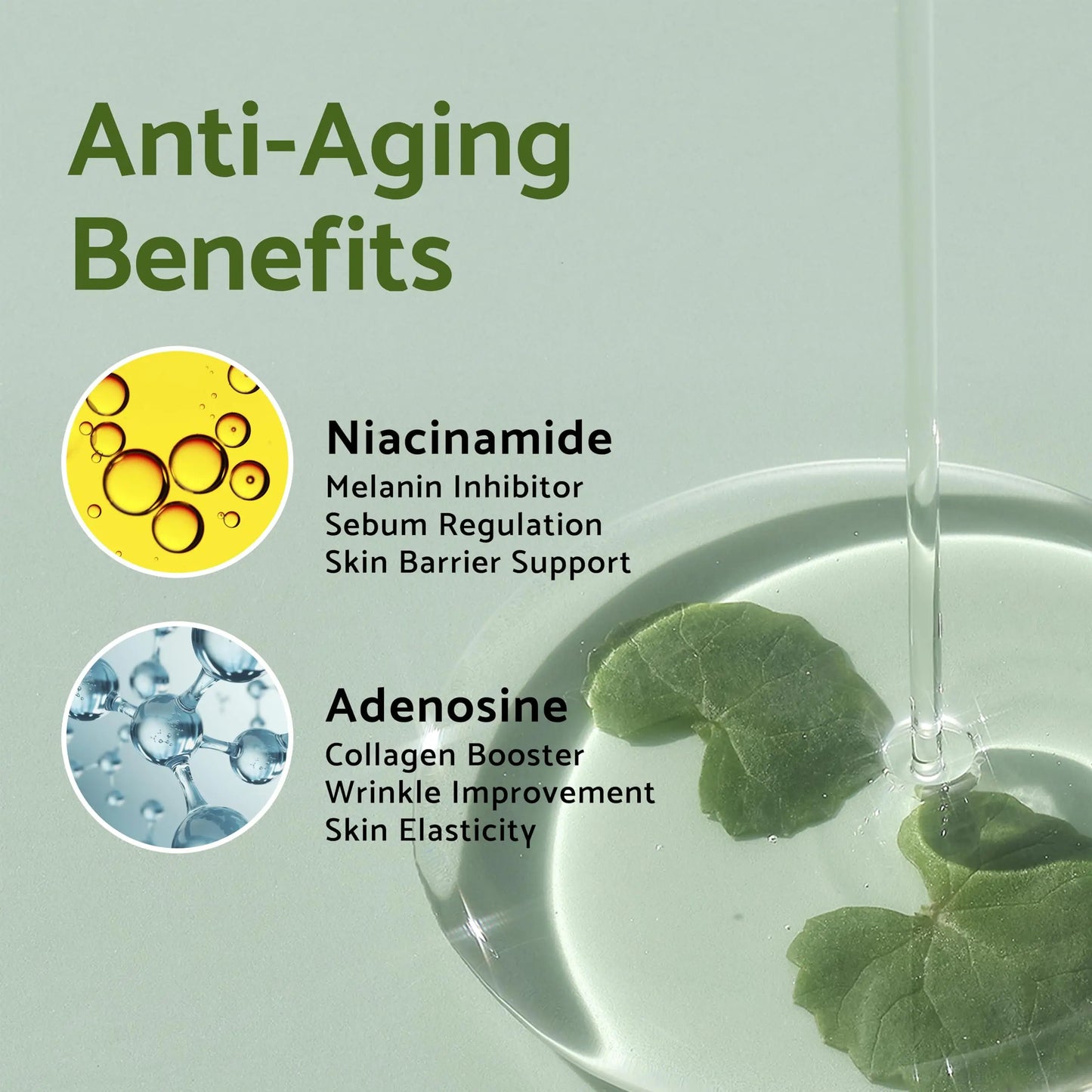 Anti-aging benefits of iUNIK Tea tree Relief Serum 50ml highlighting niacinamide for melanin inhibition and sebum regulation, and adenosine for collagen boost and wrinkle improvement.