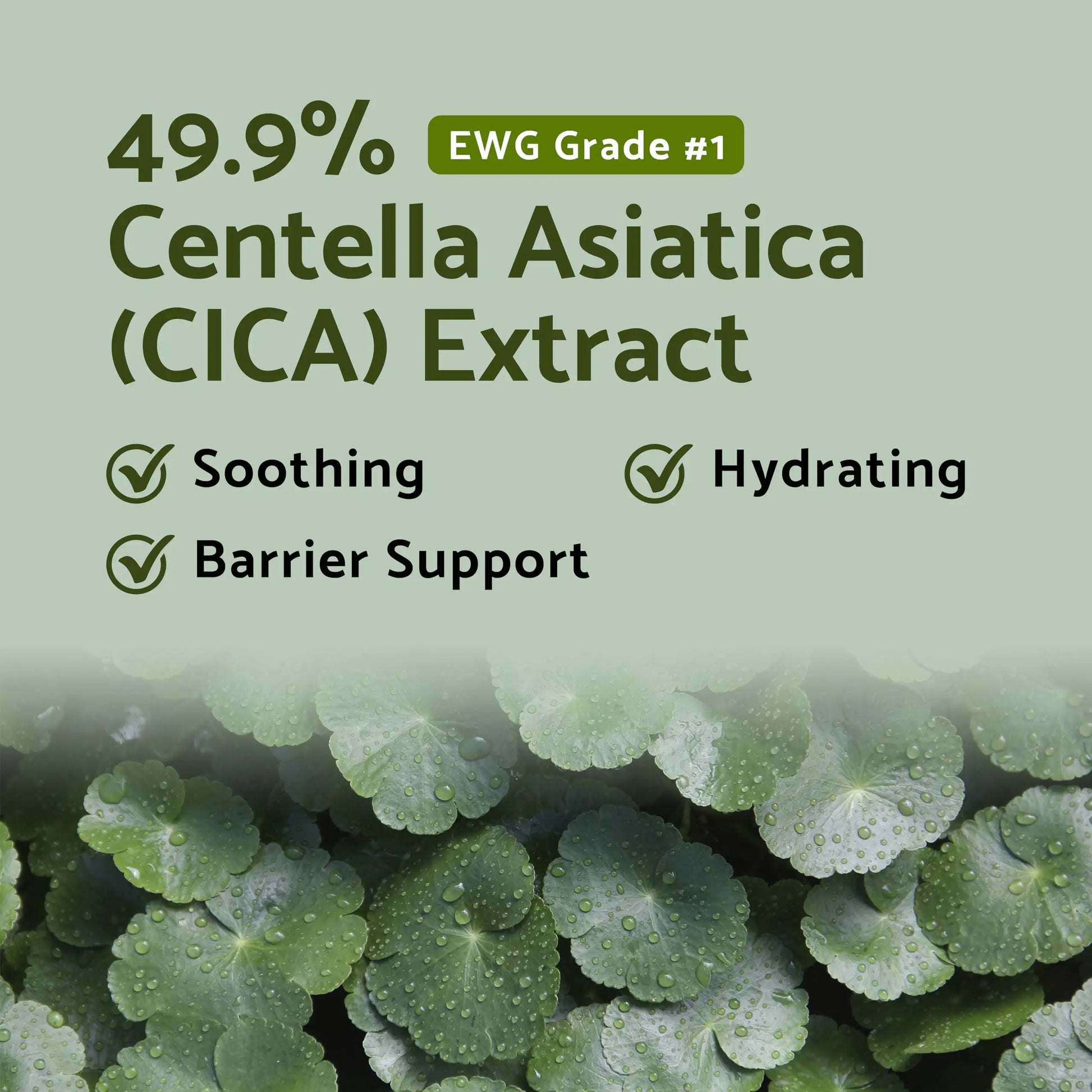 49.9% Centella Asiatica (CICA) Extract with EWG Grade 1 for soothing, hydrating, and barrier support in iUNIK Tea tree Relief Serum 50ml + iUNIK Centella Mild Cleansing Foam, 120ml.