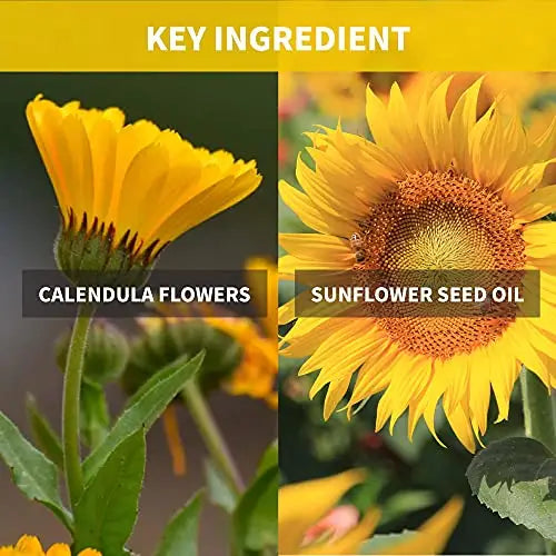 Close-up of calendula flowers and sunflower with text highlighting calendula flowers and sunflower seed oil as key ingredients for iUNIK Tea Tree Relief Toner 200ml + iUNIK Tea tree Relief Serum 50ml + iUNIK Calendula Complete Cleansing Oil, 200ml.