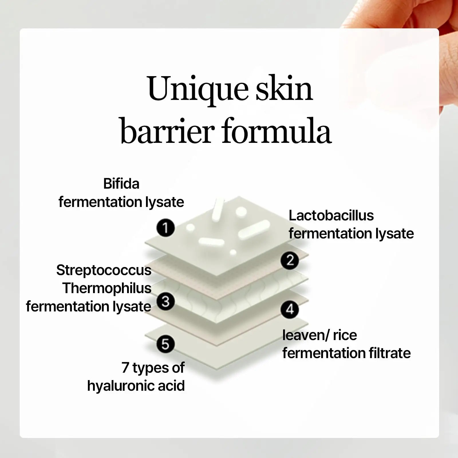 Diagram showing the unique skin barrier formula of Mixsoon Bifida Toner Pad, illustrating five layers with bifida fermentation lysate, lactobacillus fermentation lysate, streptococcus thermophilus fermentation lysate, leaven rice fermentation filtrate, and seven types of hyaluronic acid.
