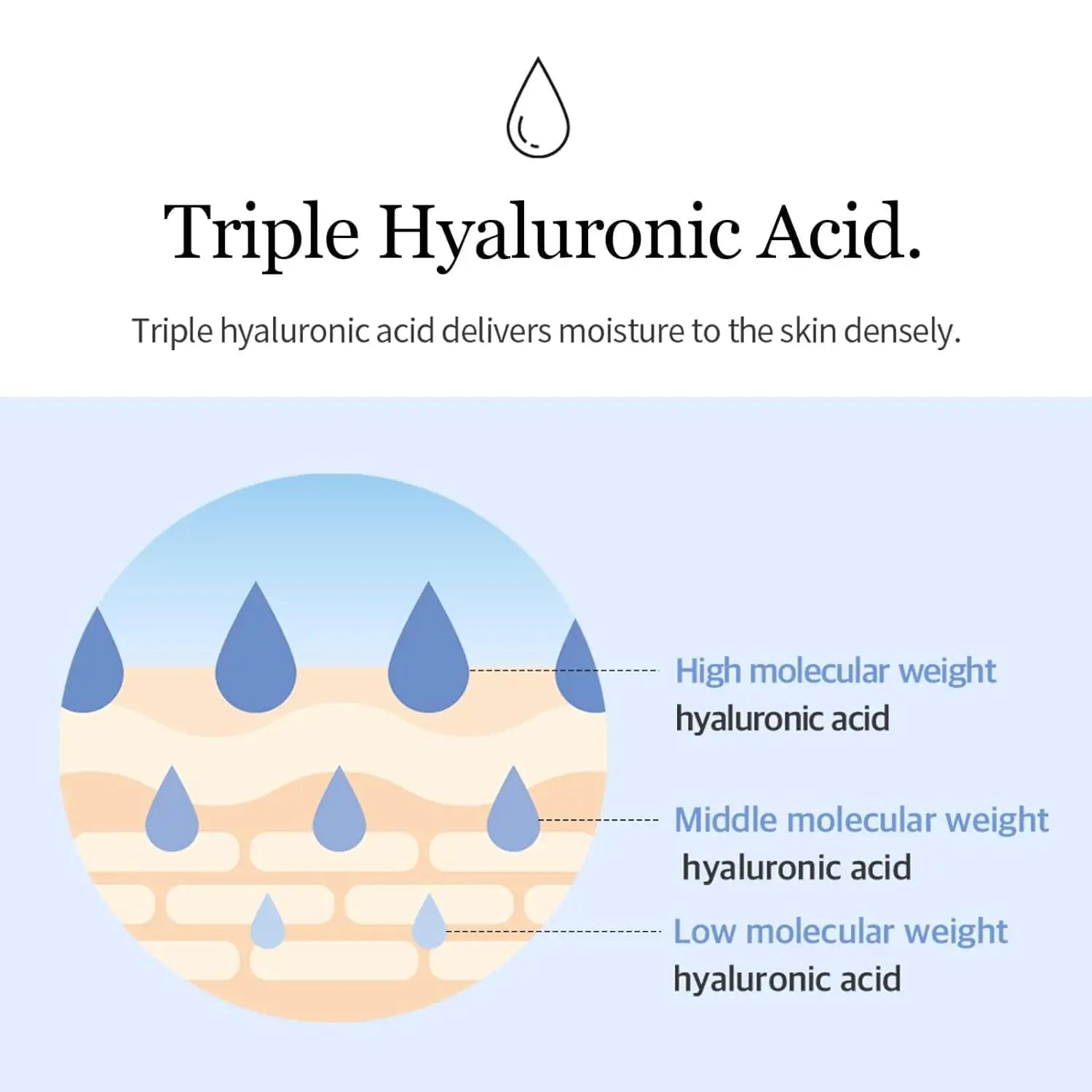 Diagram illustrating triple hyaluronic acid with high, middle, and low molecular weights delivering dense moisture to skin, related to Mixsoon Glacier Water Hyaluronic Acid Serum 300ml.