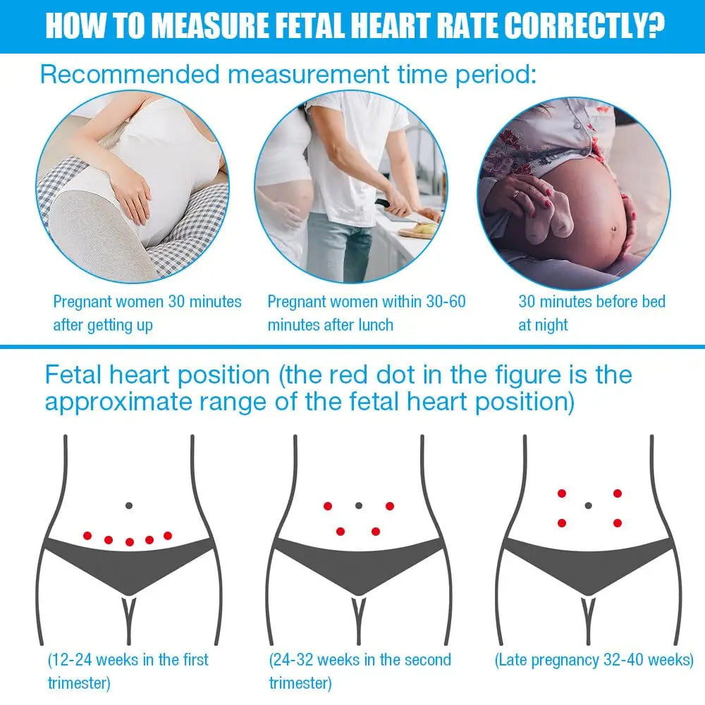 Infographic showing how to measure fetal heart rate correctly with recommended times for pregnant women and fetal heart position marked by red dots for different pregnancy stages, related to Portable Fetal Doppler Heart Rate Detector for Baby, Portable Pocket Device, Heart Rate Monitor Doppler Heart Rate Monitor for Pregnancy, Pregnancy Ultrasound.