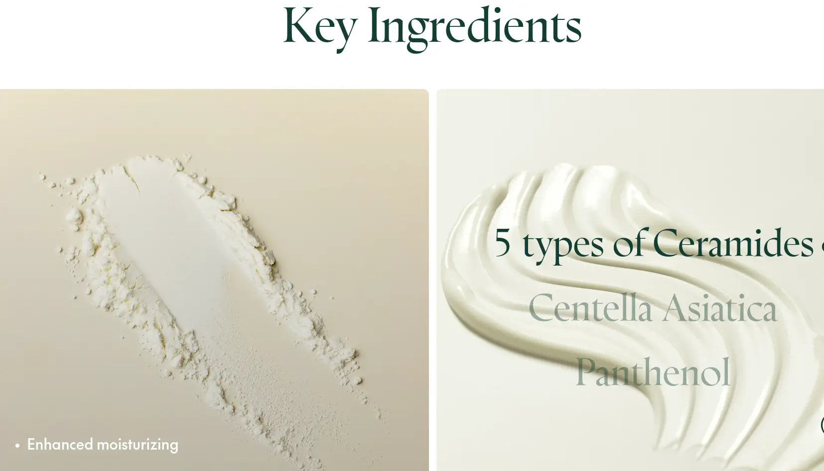 Close-up of creamy white skincare product texture and fine powder illustrating key moisturizing ingredients including ceramides, centella asiatica, and panthenol in PURITO Daily Soft Touch Sunscreen.