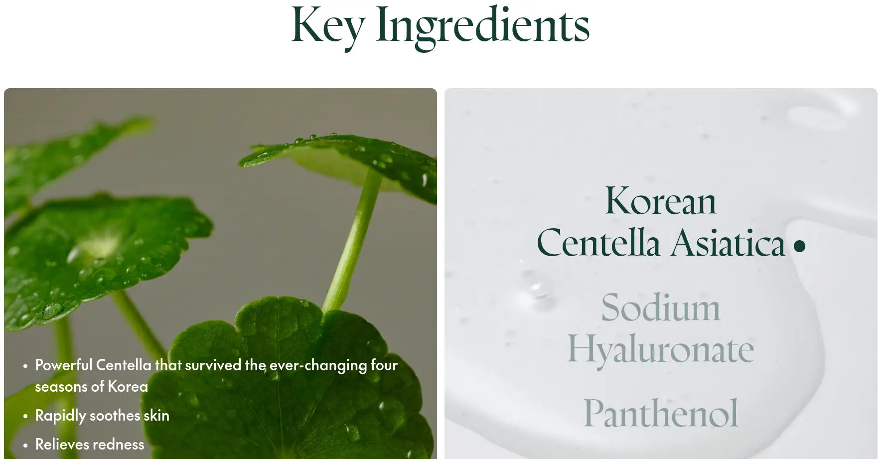 Close-up of fresh green Centella Asiatica leaves with water droplets alongside a clear liquid drop highlighting key ingredients Korean Centella Asiatica, Sodium Hyaluronate, and Panthenol for PURITO Seoul Wonder Releaf Centella Toner 200ml