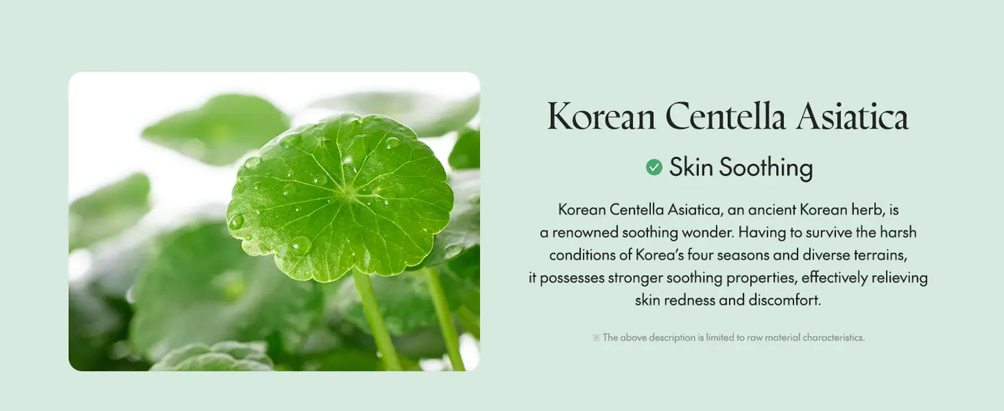 Close-up of a green Korean Centella Asiatica leaf with water droplets, highlighting its skin soothing properties in relation to PURITO Wonder Releaf Centella Daily Sun Lotion.