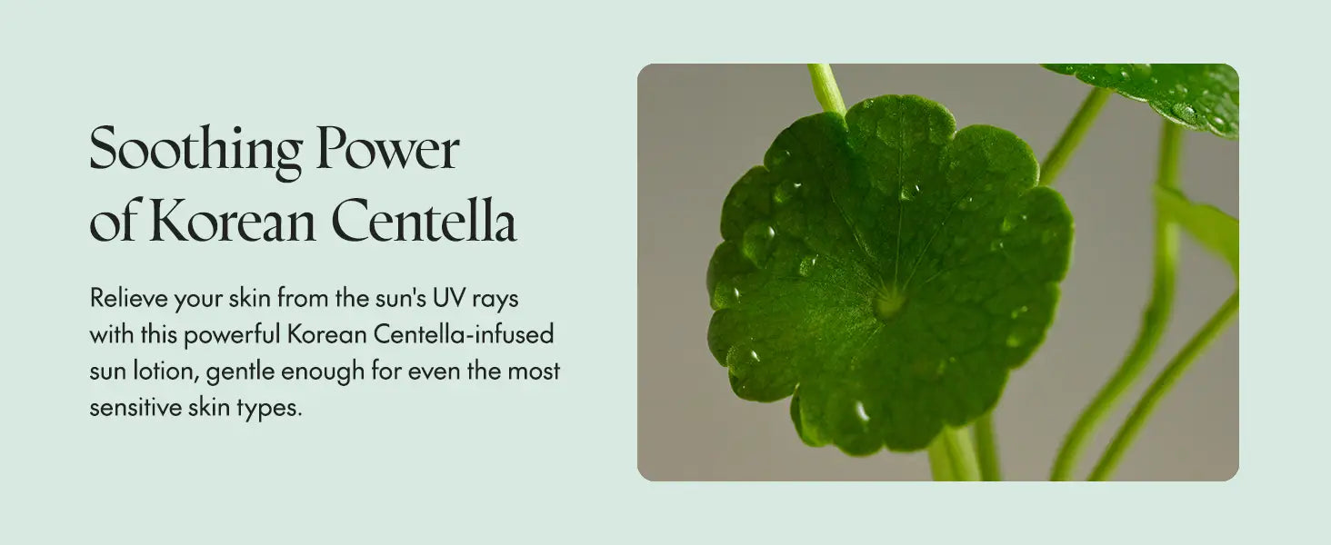 Close-up of green Korean Centella leaf highlighting natural soothing properties, paired with text promoting PURITO Wonder Releaf Centella Daily Sun Lotion for gentle UV protection.