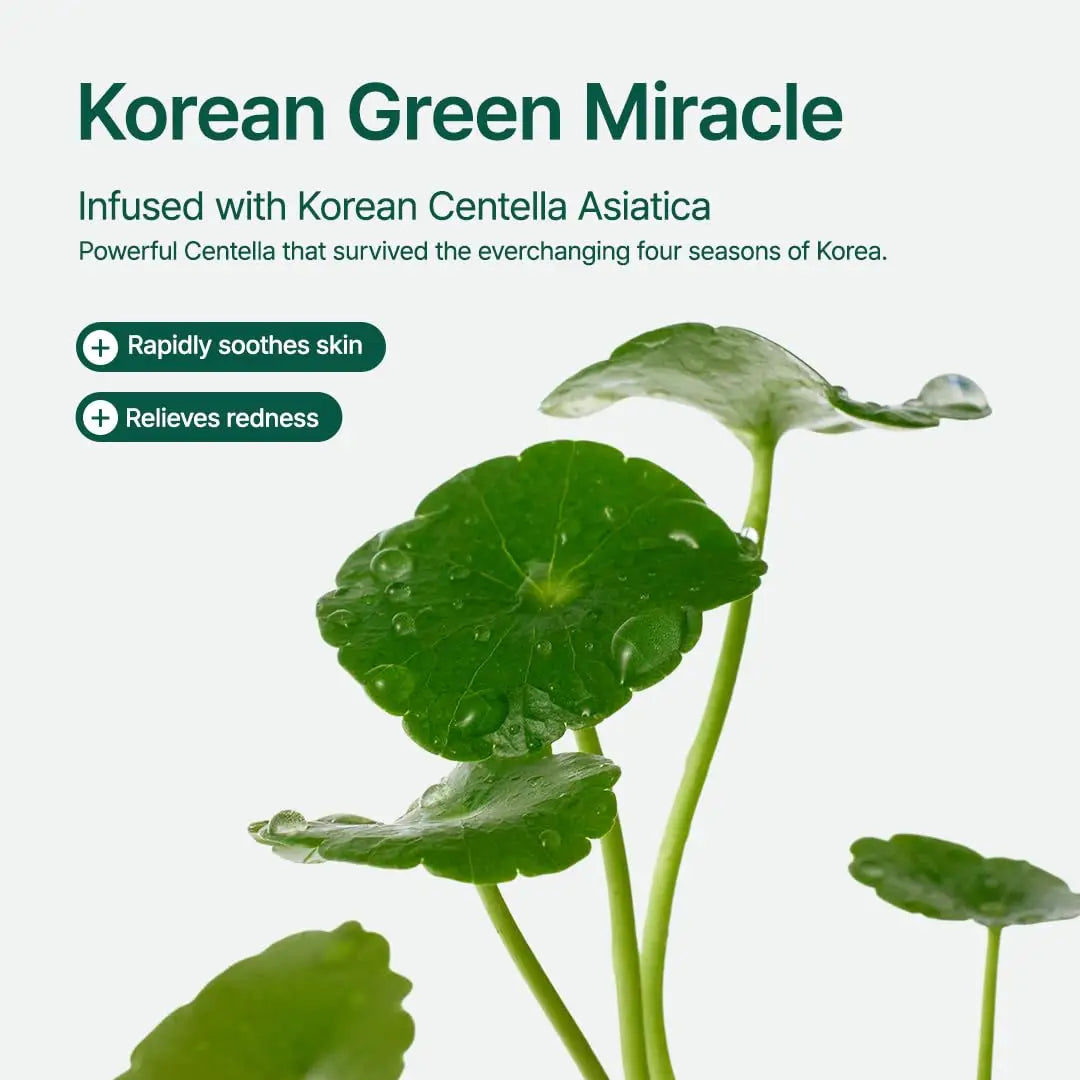 Close-up of fresh green Centella Asiatica leaves with water droplets, highlighting key benefits of PURITO Wonder Releaf Centella Unscented Serum such as soothing skin and relieving redness