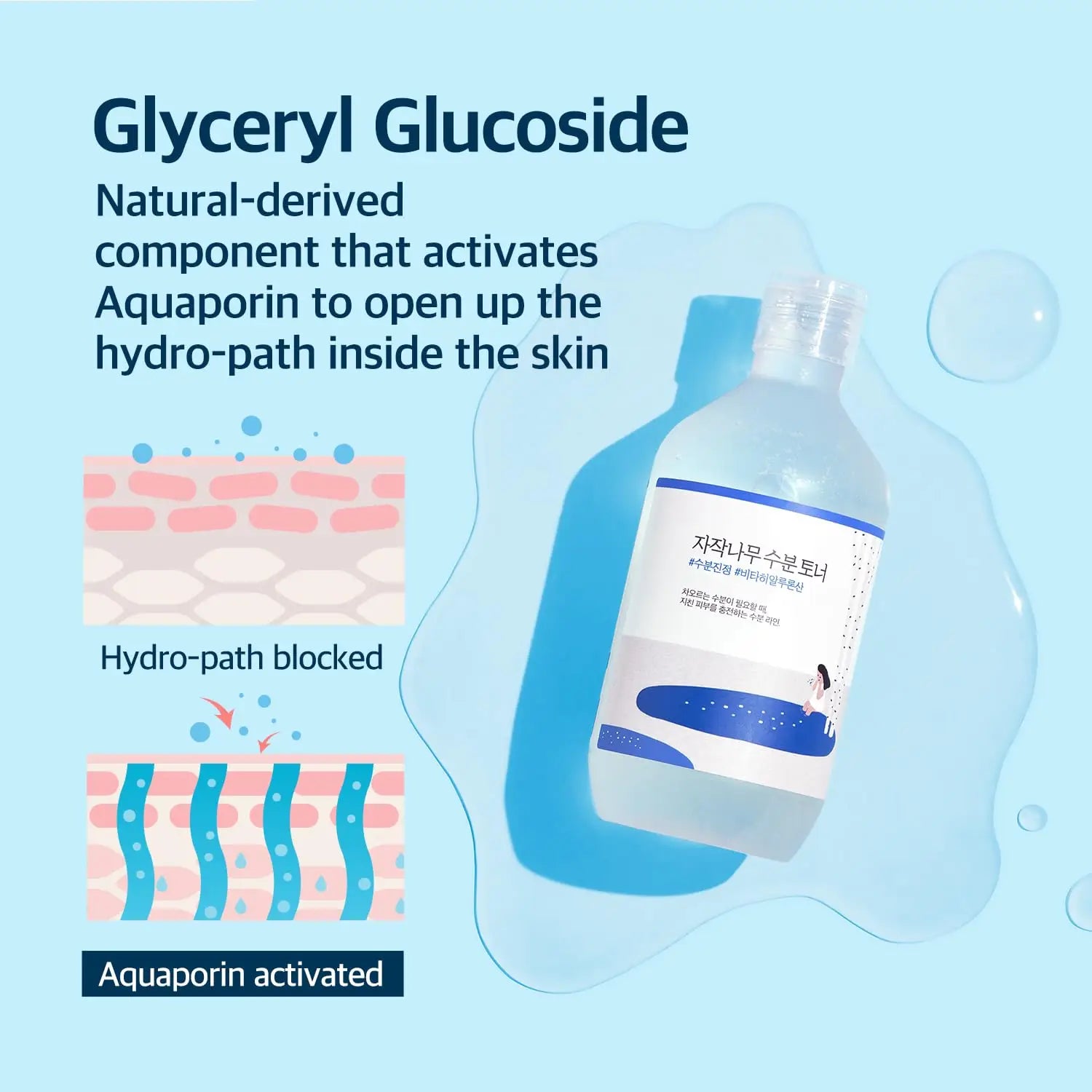 ROUND LAB Birch Juice Moisturizing Toner 300ml with Glyceryl Glucoside, a natural-derived ingredient that activates aquaporin to open the skin's hydro-path for enhanced hydration.