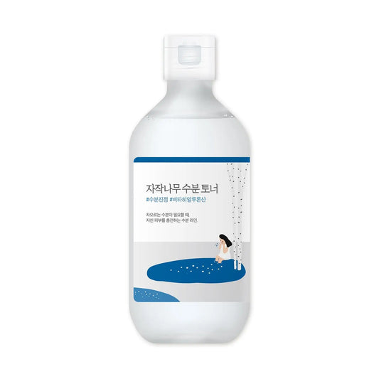 Bottle of ROUND LAB Birch Juice Moisturizing Toner 300ml with a minimalist label design featuring blue accents and a small illustration of a person sitting near water.