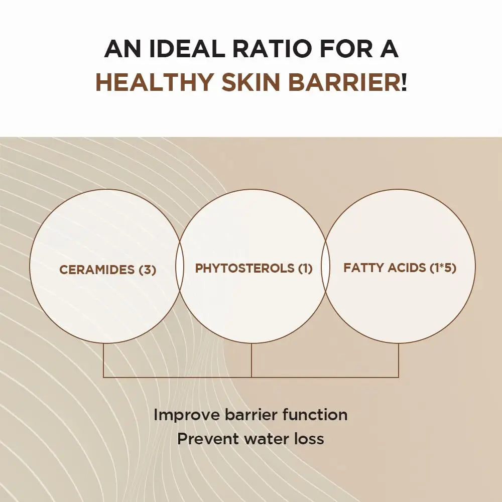 Diagram illustrating the ideal ratio of ceramides, phytosterols, and fatty acids for a healthy skin barrier, highlighting benefits such as improved barrier function and prevention of water loss, related to Skin 1004 Madagascar Centella Probio-Cica Intensive Ampoule 95ml.
