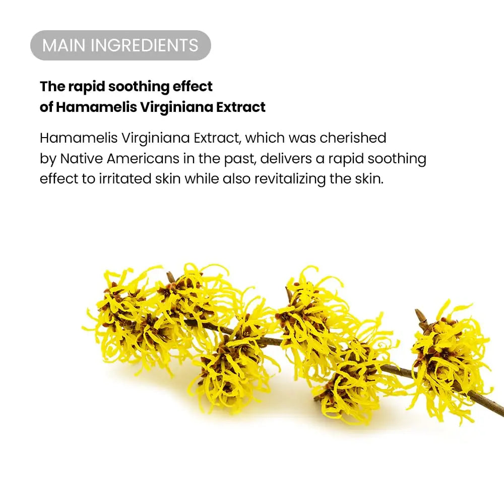 Close-up of bright yellow Hamamelis Virginiana flower branch illustrating the main soothing ingredient in TIRTIR SOS Serum 50ml for calming irritated skin.